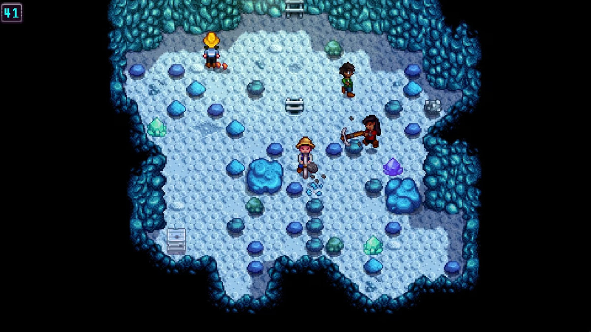NS2 Stardew Valley - Nintendo Switch 2 Edition