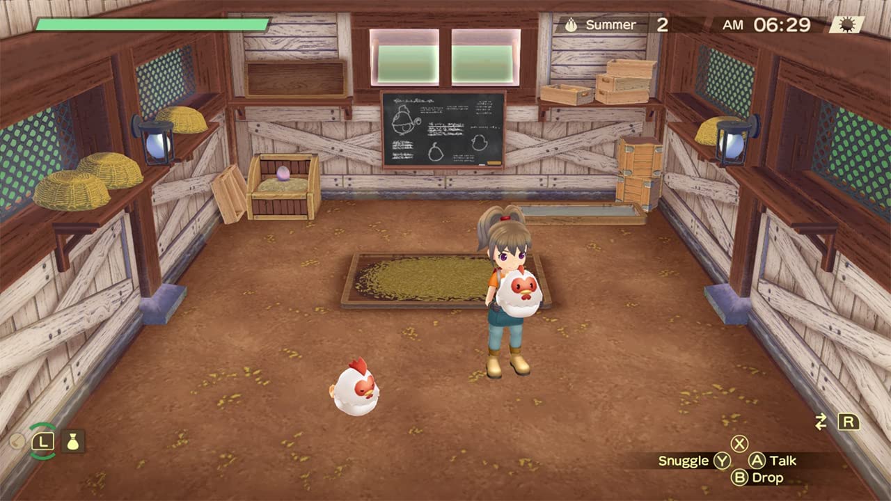 NSW Story of Seasons: A Wonderful Life