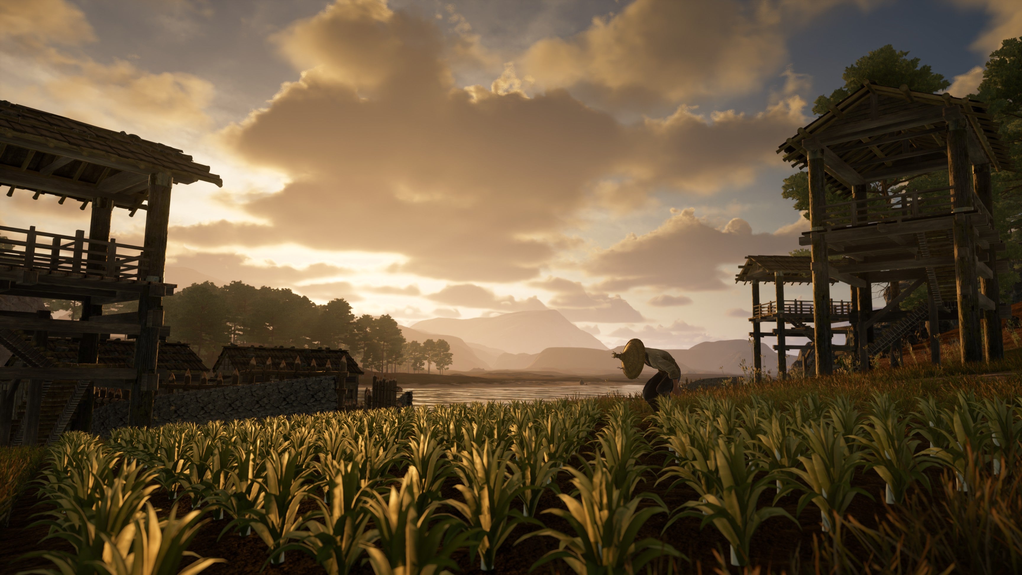 PS5 Sengoku Dynasty