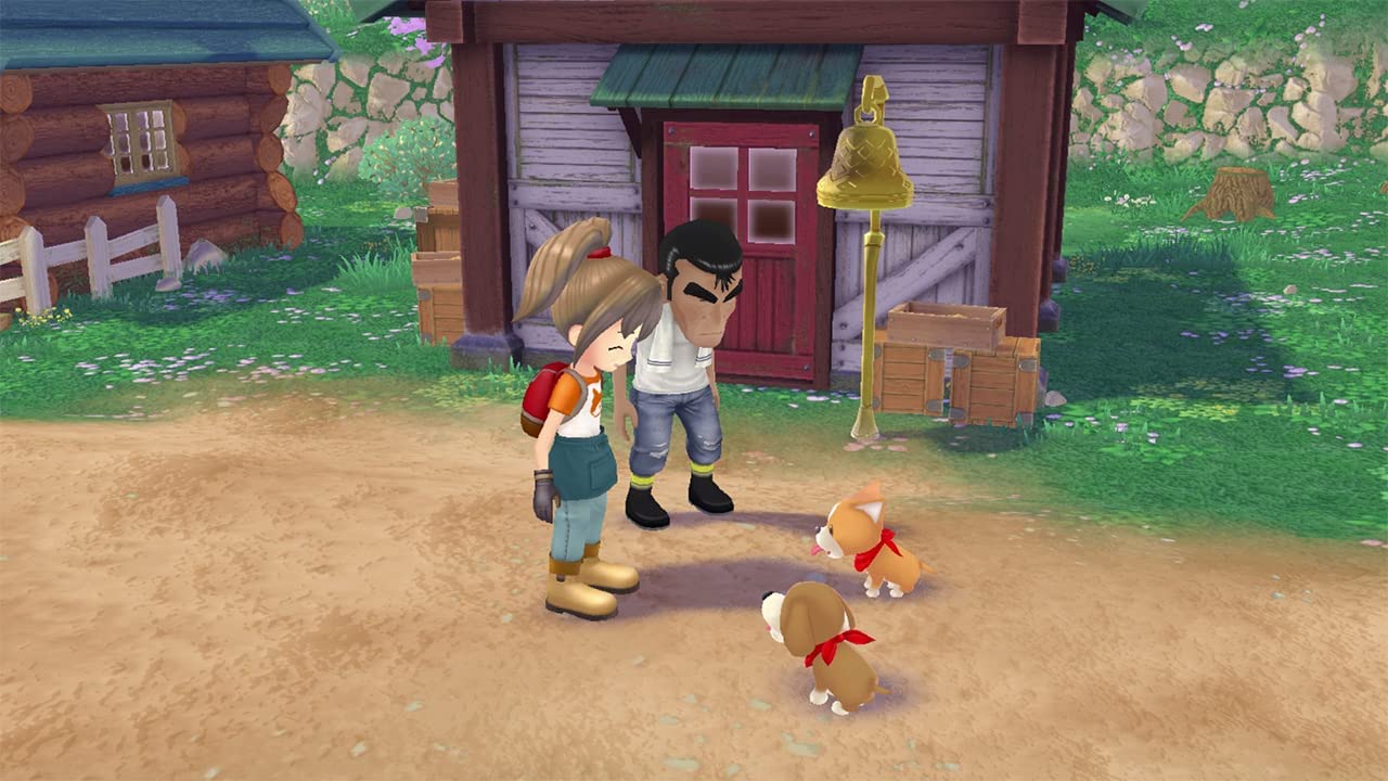 NSW Story of Seasons: A Wonderful Life