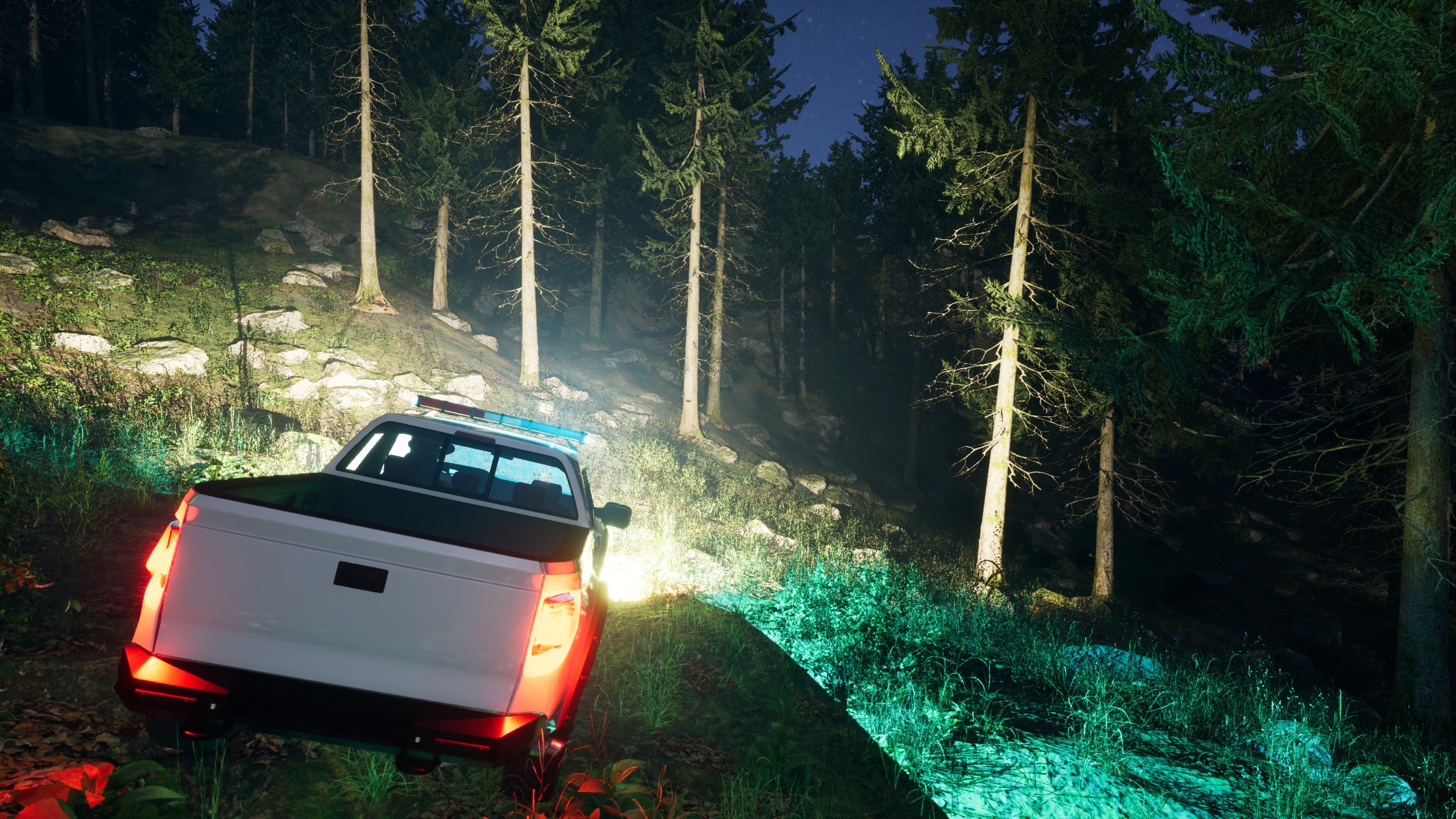 PS5 Park Ranger Simulator