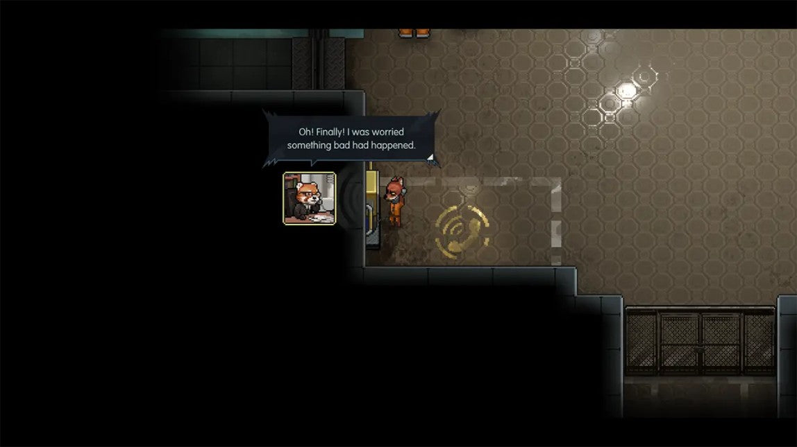 NSW Back to the Dawn