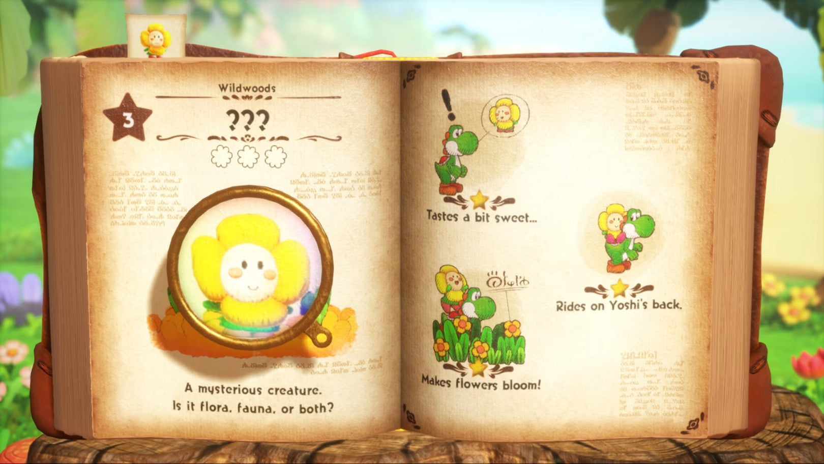 yoshiページ NS2 Yoshi and the Mysterious Book