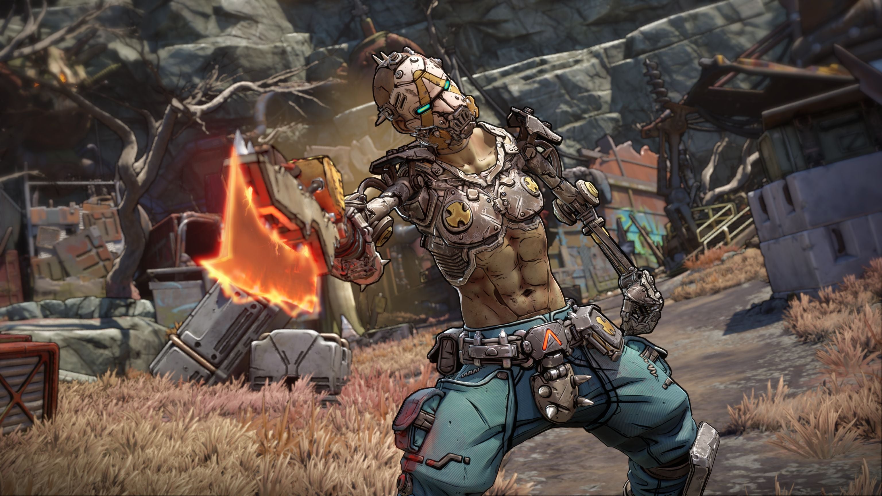 NS2 Borderlands 4 (Game-Key Card)