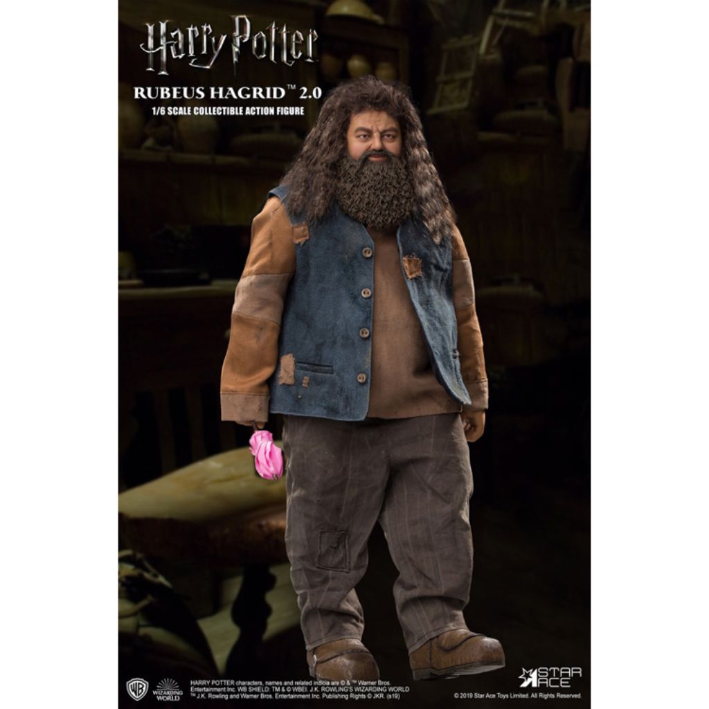 SA0072 - Harry Potter and the Sorcerer's Stone - Rubeus Hagrid 2.0