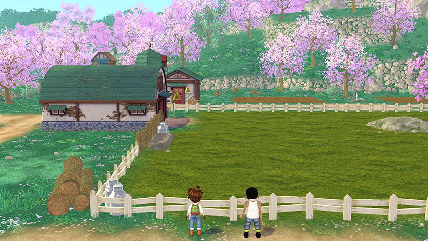 NSW Story of Seasons: A Wonderful Life (CHN)