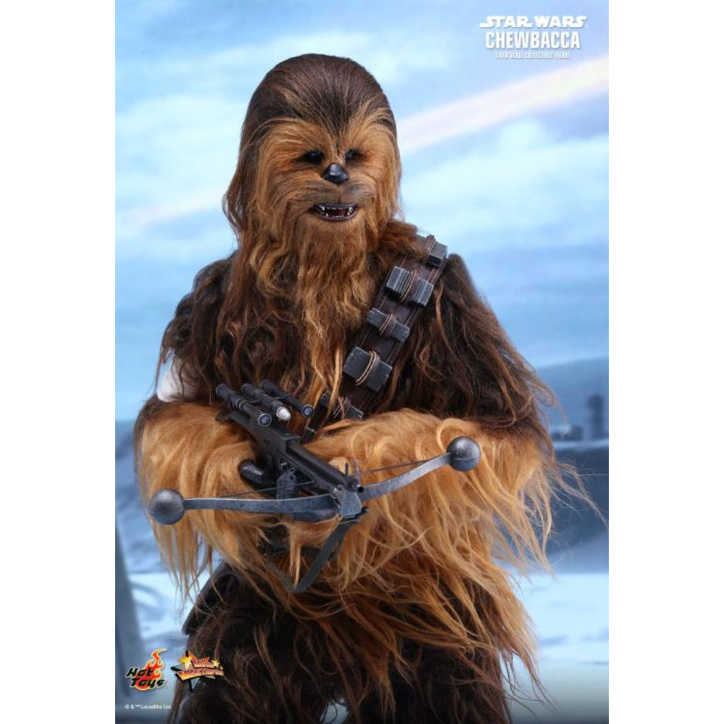 Sixth Scale Hot Toys Chewbacca Chewbacca Sixth Scale Figure By Hot