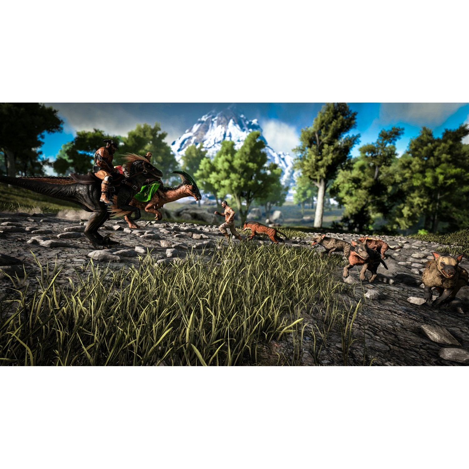 NSW ARK: Survival Evolved