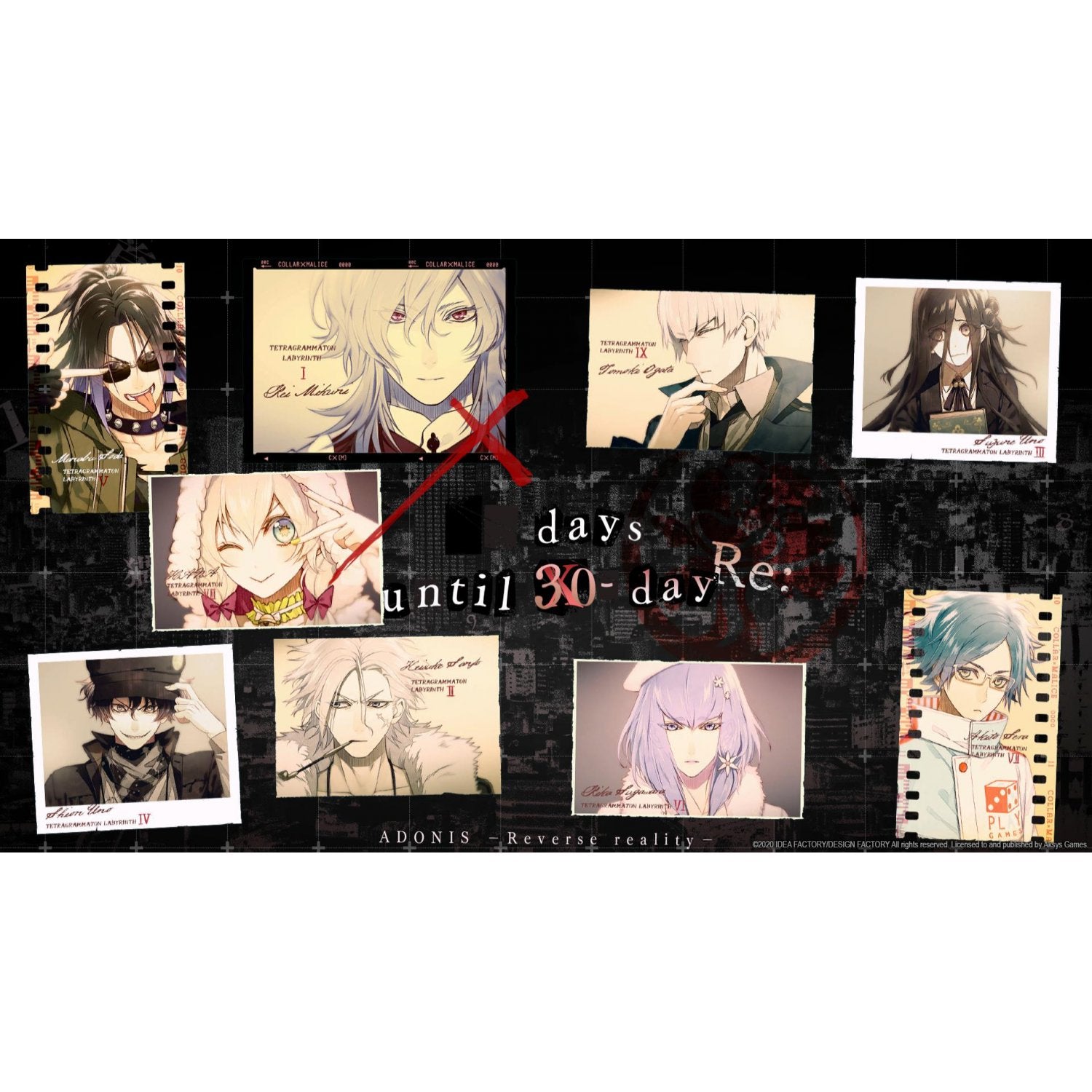 NSW Collar X Malice Unlimited (NC16)