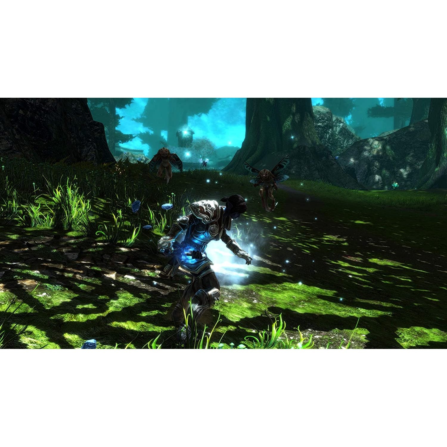 PS4 Kingdoms of Amalur: Re-Reckoning