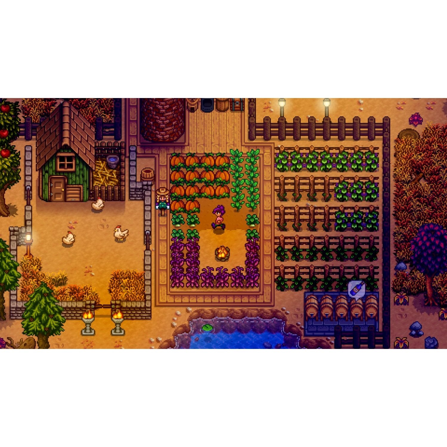 NSW Stardew Valley