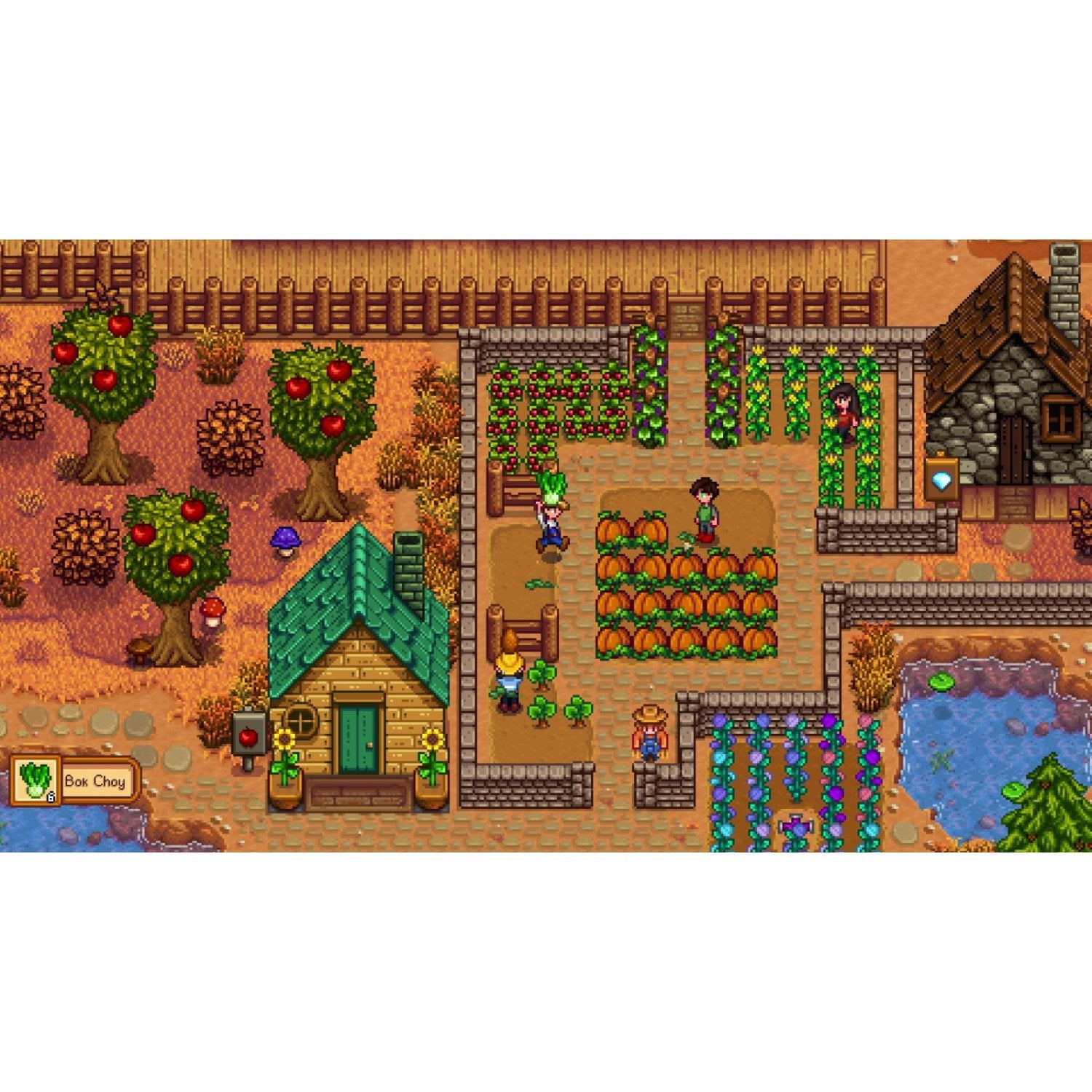 NSW Stardew Valley