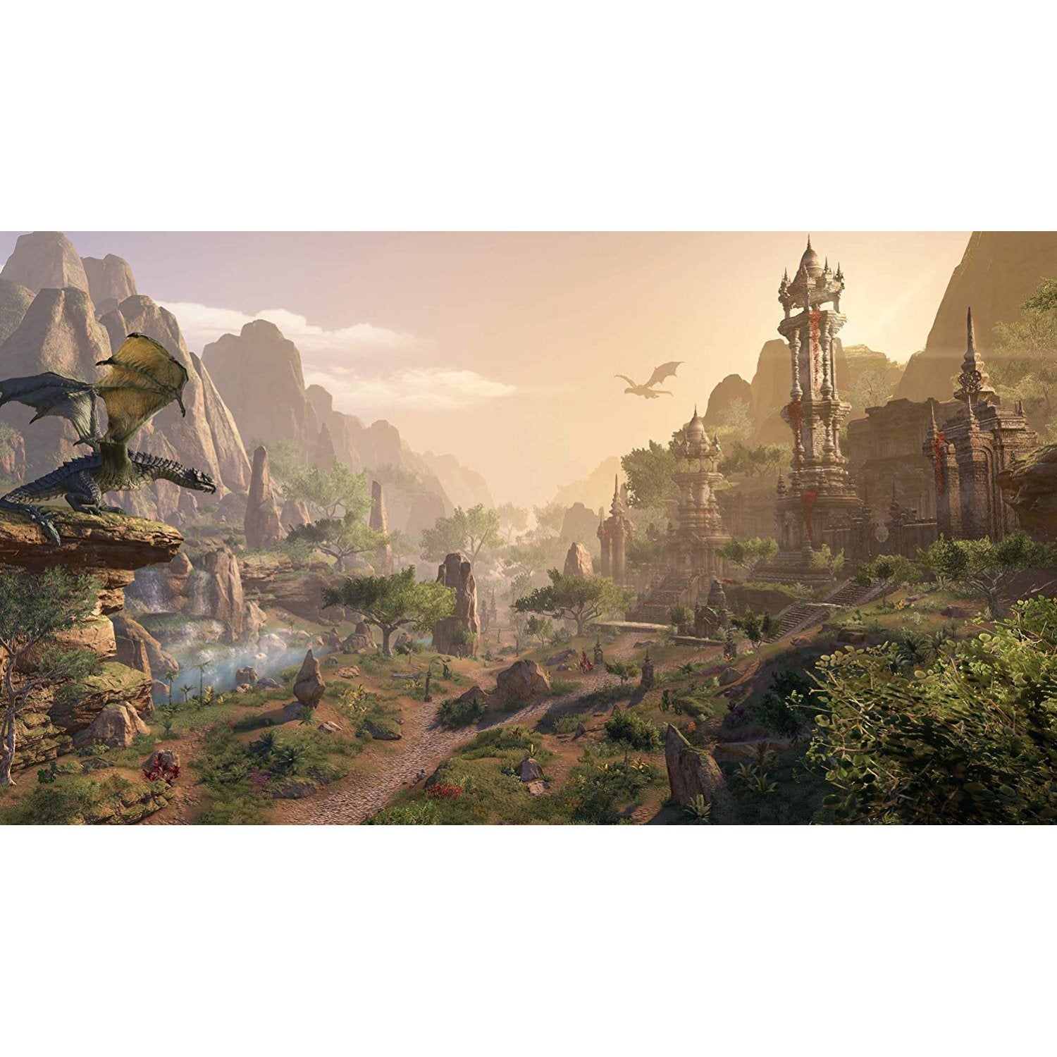 PS4 The Elder Scrolls Online: Elsweyr
